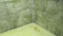 FRP lining to Spent wash Tank